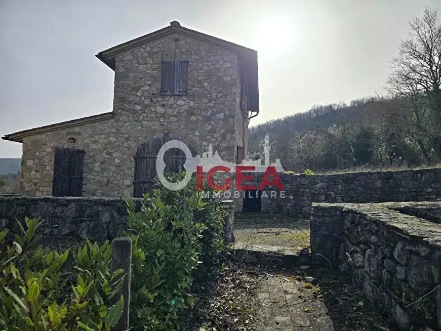 Immagine 7 di Appartamento in vendita  a Castellina In Chianti