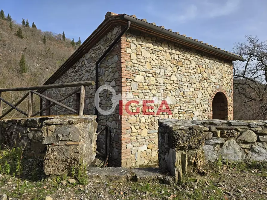 Immagine 3 di Appartamento in vendita  a Castellina In Chianti