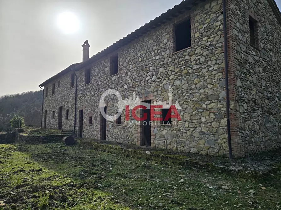 Immagine 17 di Appartamento in vendita  a Castellina In Chianti