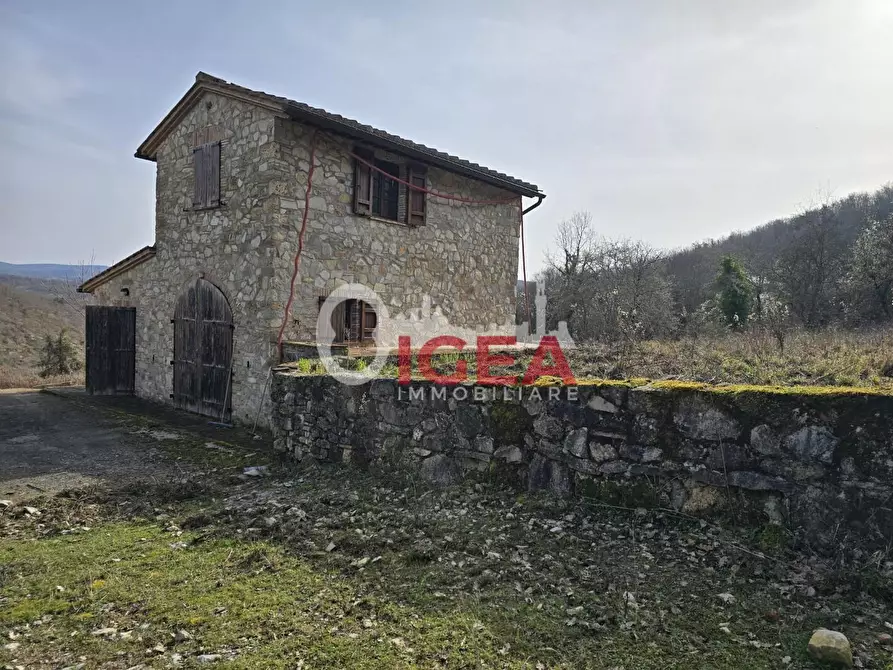 Immagine 13 di Appartamento in vendita  a Castellina In Chianti