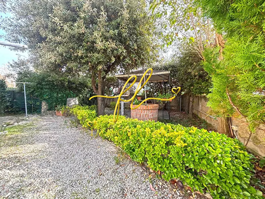 Immagine 26 di Appartamento in vendita  a Cecina