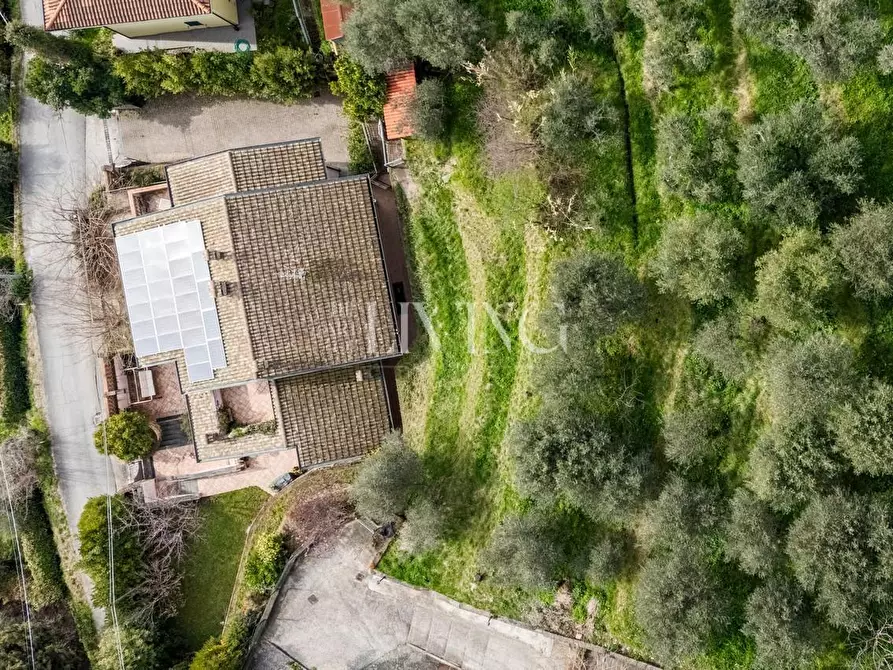 Immagine 30 di Villa in vendita  a Massarosa