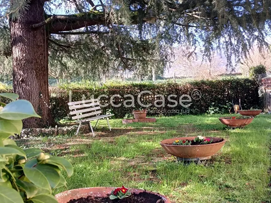 Immagine 3 di Casa indipendente in vendita  a Lucca