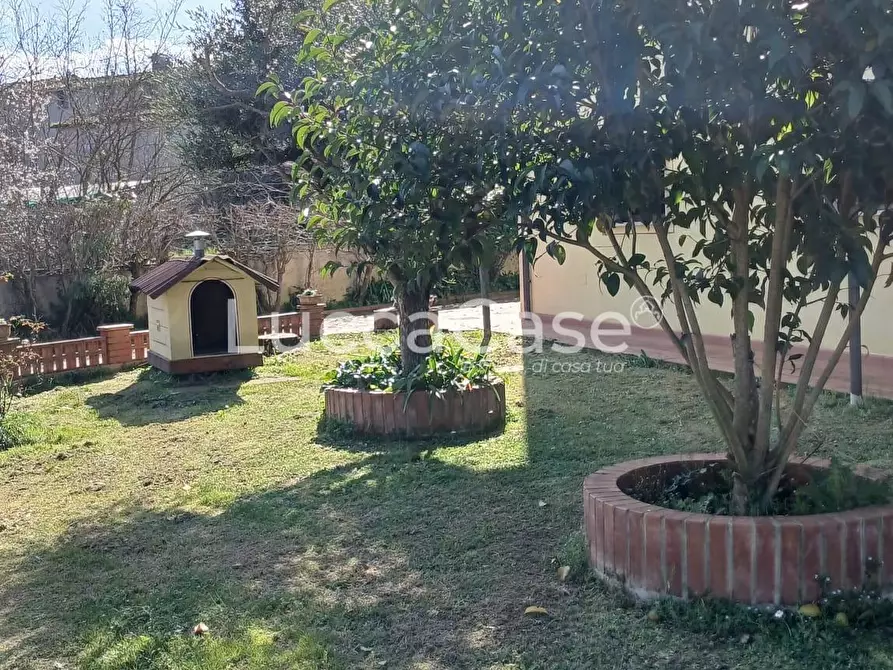 Immagine 6 di Casa indipendente in vendita  a Lucca