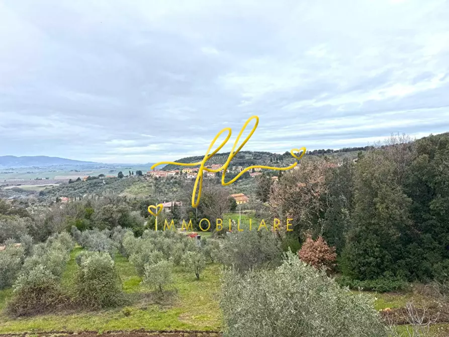 Immagine 13 di Casa indipendente in vendita  a Santa Luce