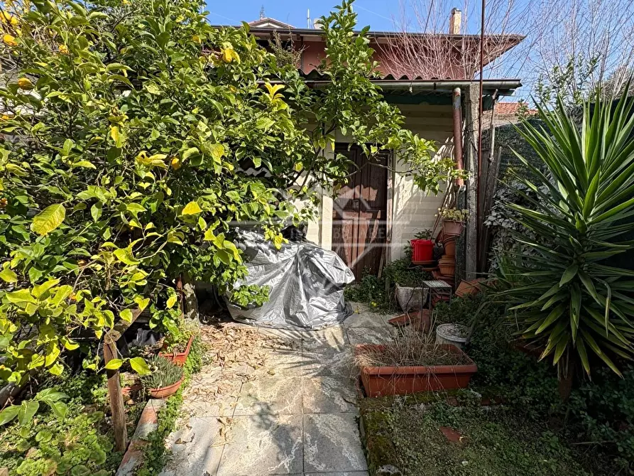 Immagine 12 di Terratetto in vendita  a Carrara