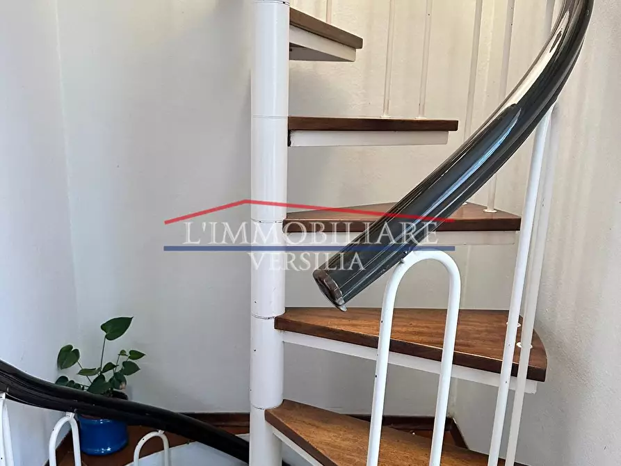 Immagine 21 di Villa in vendita  a Massa