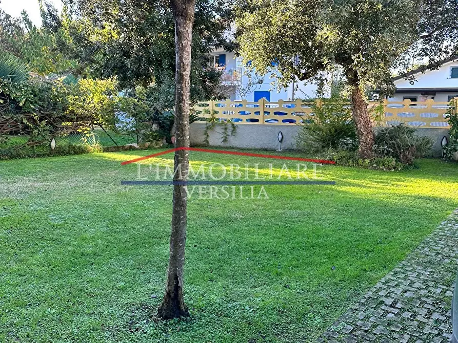 Immagine 6 di Villa in vendita  a Massa