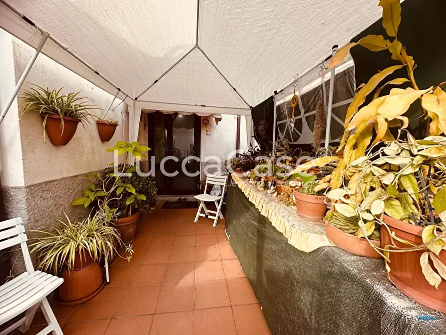 Immagine 14 di Terratetto in vendita  a Capannori