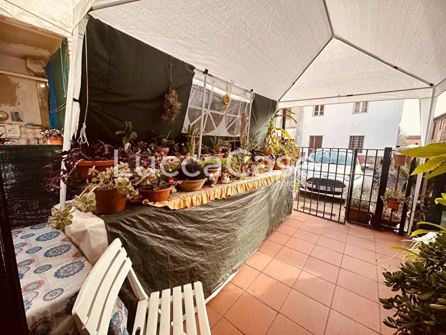 Immagine 13 di Terratetto in vendita  a Capannori