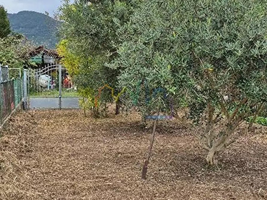 Immagine 2 di Terratetto in vendita  a San Giuliano Terme