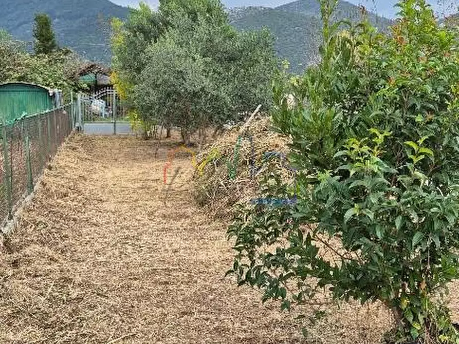 Immagine 1 di Terratetto in vendita  a San Giuliano Terme