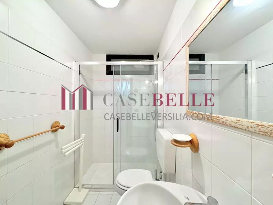 Immagine 27 di Casa indipendente in affitto  a Camaiore