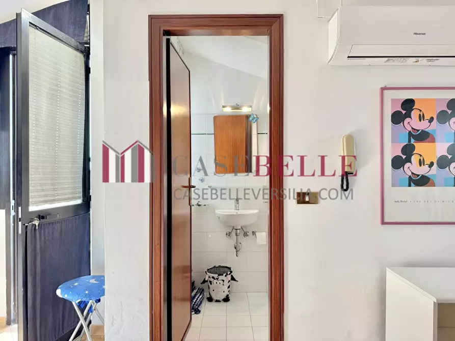 Immagine 62 di Casa indipendente in affitto  a Camaiore