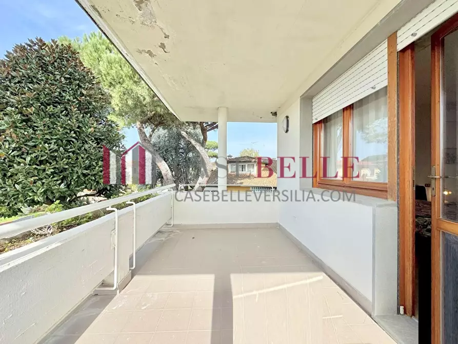 Immagine 44 di Casa indipendente in affitto  a Camaiore