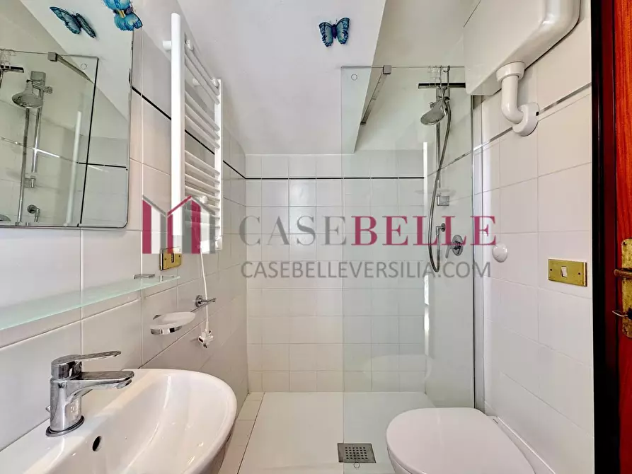 Immagine 64 di Casa indipendente in affitto  a Camaiore