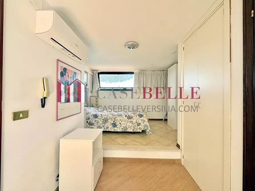 Immagine 59 di Casa indipendente in affitto  a Camaiore