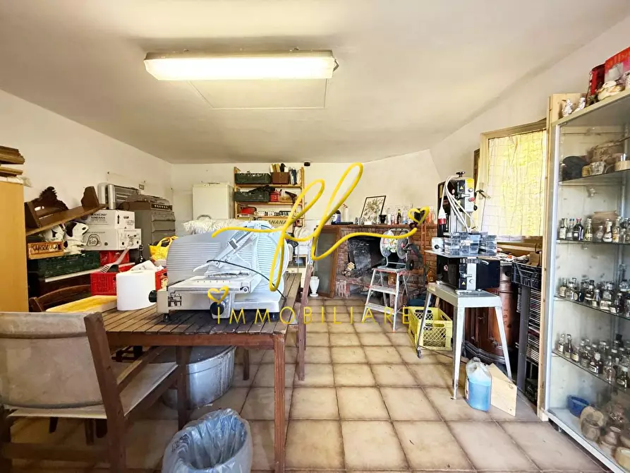 Immagine 20 di Appartamento in vendita  a Cecina