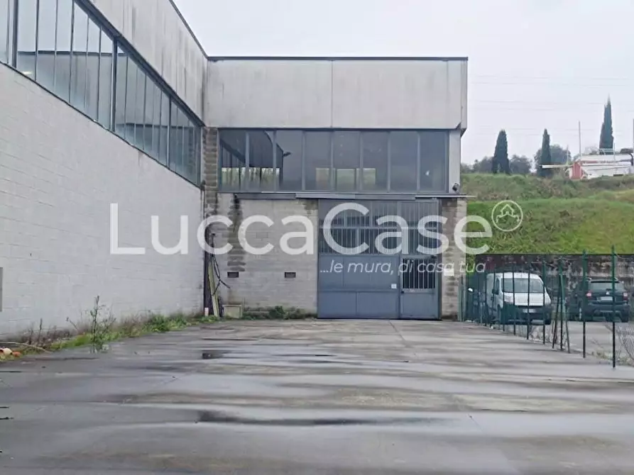 Immagine 6 di Capannone industriale in affitto  a Pescia