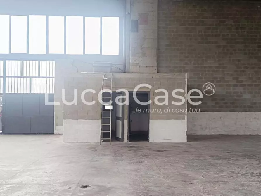 Immagine 3 di Capannone industriale in affitto  a Pescia