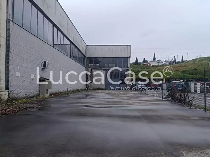 Immagine 5 di Capannone industriale in affitto  a Pescia