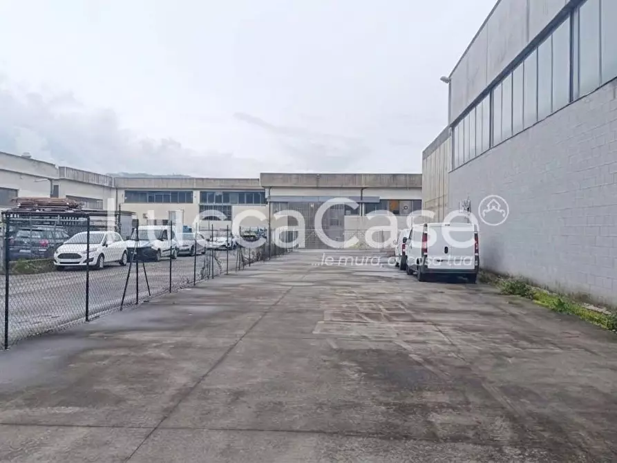 Immagine 7 di Capannone industriale in affitto  a Pescia