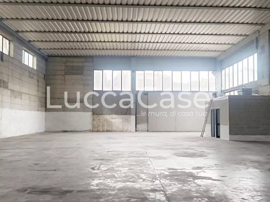 Immagine 4 di Capannone industriale in affitto  a Pescia