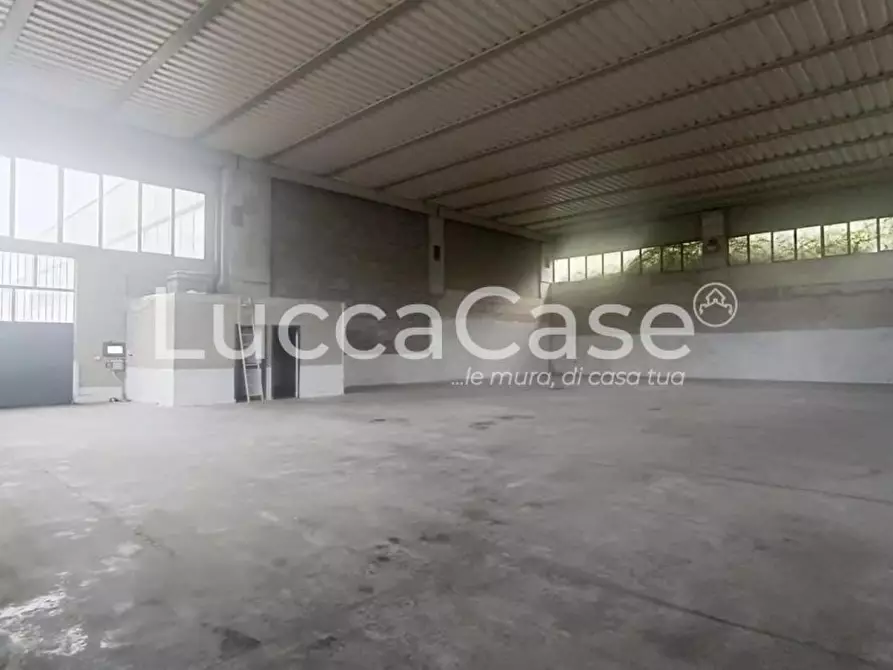 Immagine 2 di Capannone industriale in affitto  a Pescia