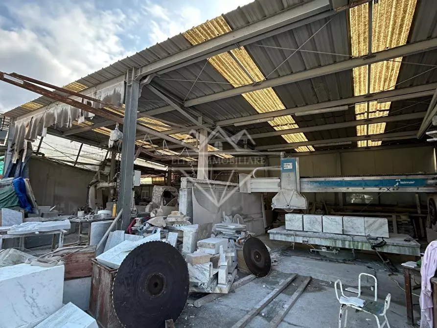 Immagine 17 di Attività artigianale in vendita  a Carrara