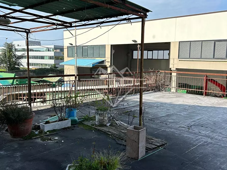 Immagine 8 di Attività artigianale in vendita  a Carrara