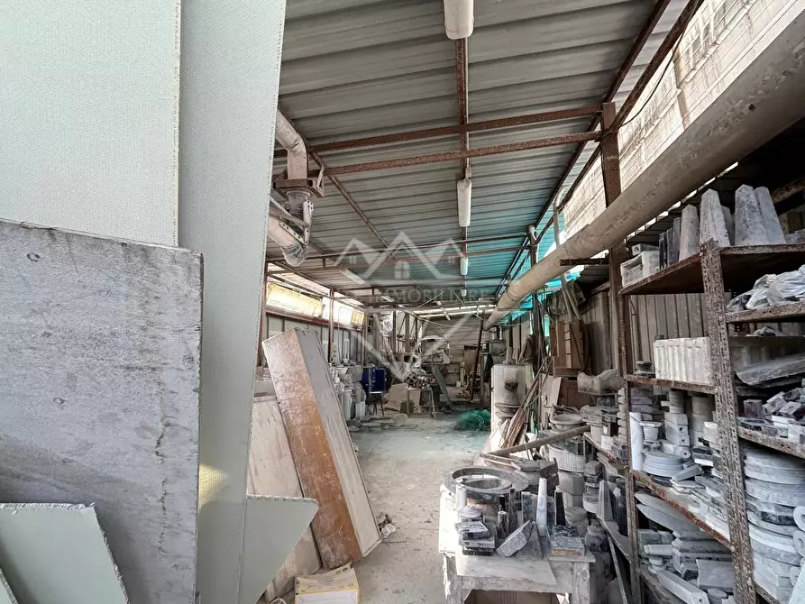 Immagine 3 di Attività artigianale in vendita  a Carrara