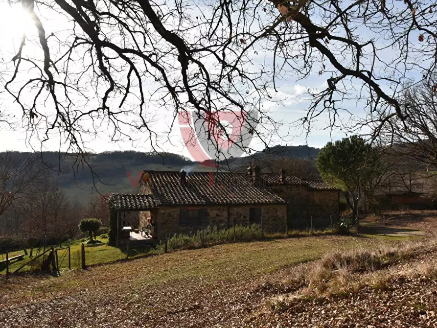 Immagine 10 di Casa indipendente in vendita  a Radicondoli