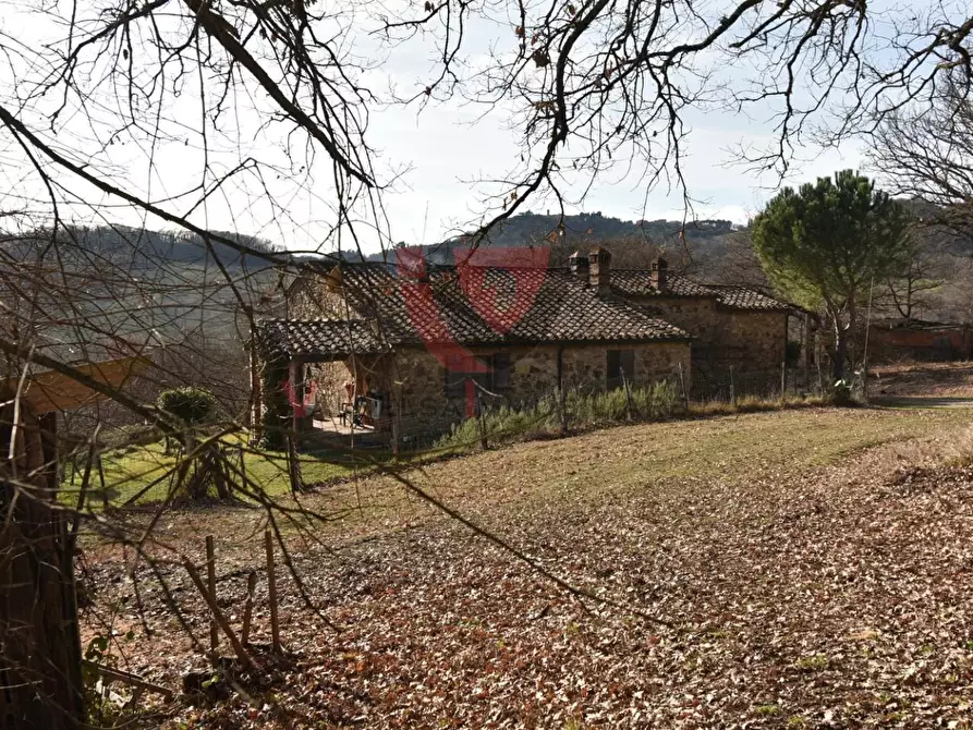 Immagine 6 di Casa indipendente in vendita  a Radicondoli