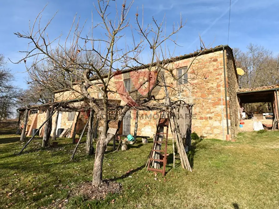 Immagine 7 di Casa indipendente in vendita  a Radicondoli