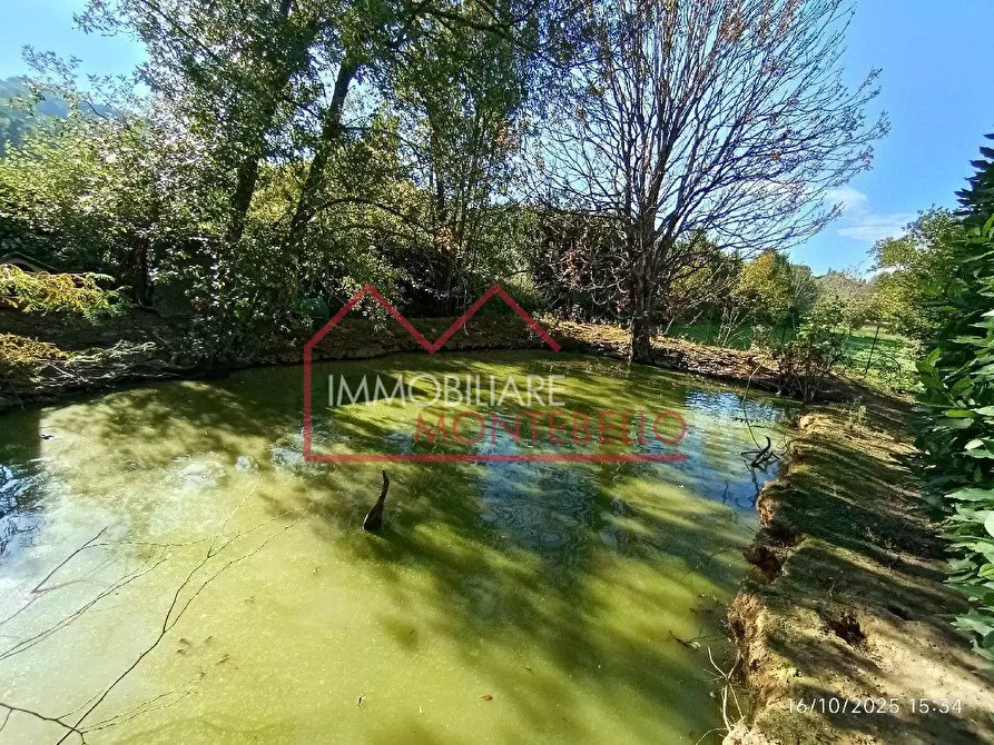 Immagine 58 di Villa in vendita  a Camaiore