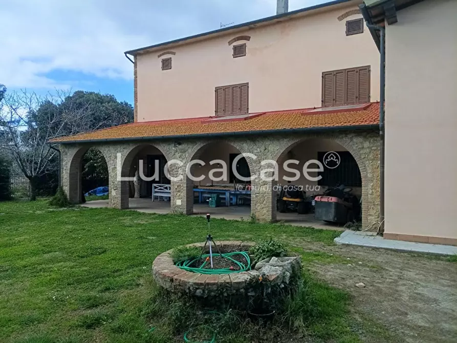 Immagine 2 di Casa colonica in vendita  a Cecina