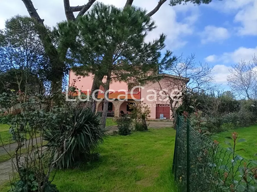 Immagine 3 di Casa colonica in vendita  a Cecina