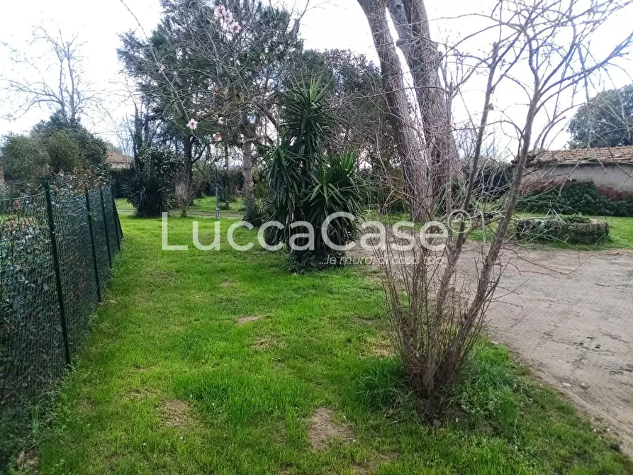 Immagine 5 di Casa colonica in vendita  a Cecina