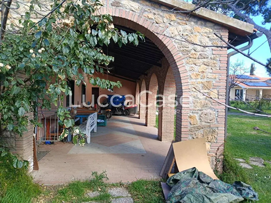 Immagine 15 di Casa colonica in vendita  a Cecina