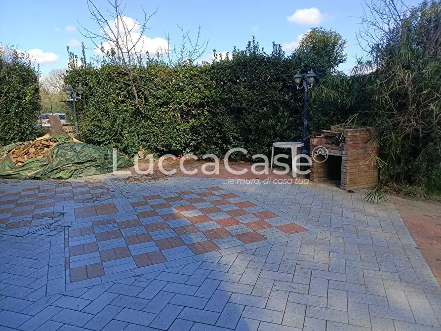 Immagine 6 di Casa colonica in vendita  a Cecina