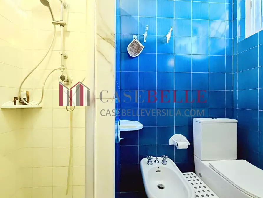 Immagine 17 di Casa semindipendente in affitto  a Forte Dei Marmi