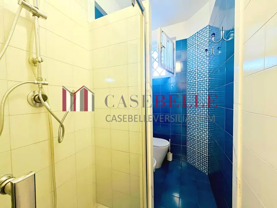 Immagine 16 di Casa semindipendente in affitto  a Forte Dei Marmi