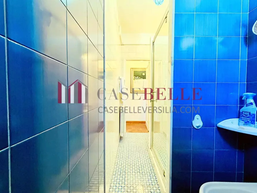 Immagine 19 di Casa semindipendente in affitto  a Forte Dei Marmi