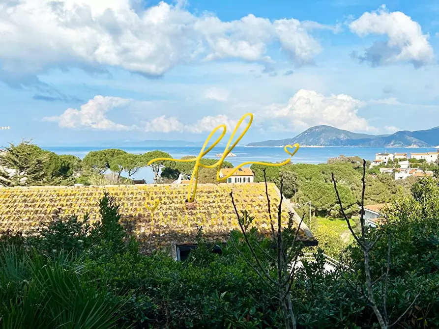 Immagine 10 di Villa in vendita  a Portoferraio