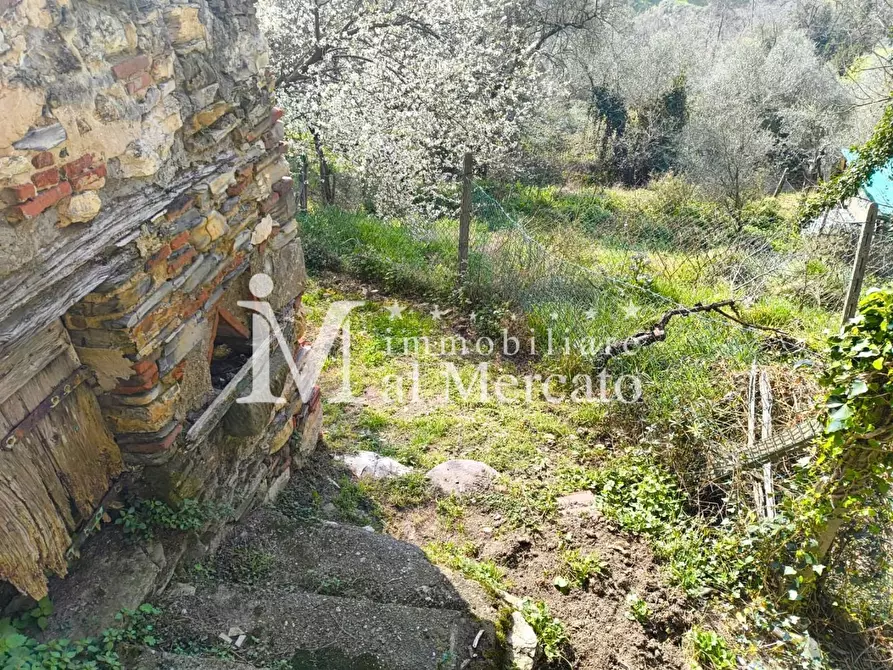 Immagine 7 di Terratetto in vendita  a Lucca