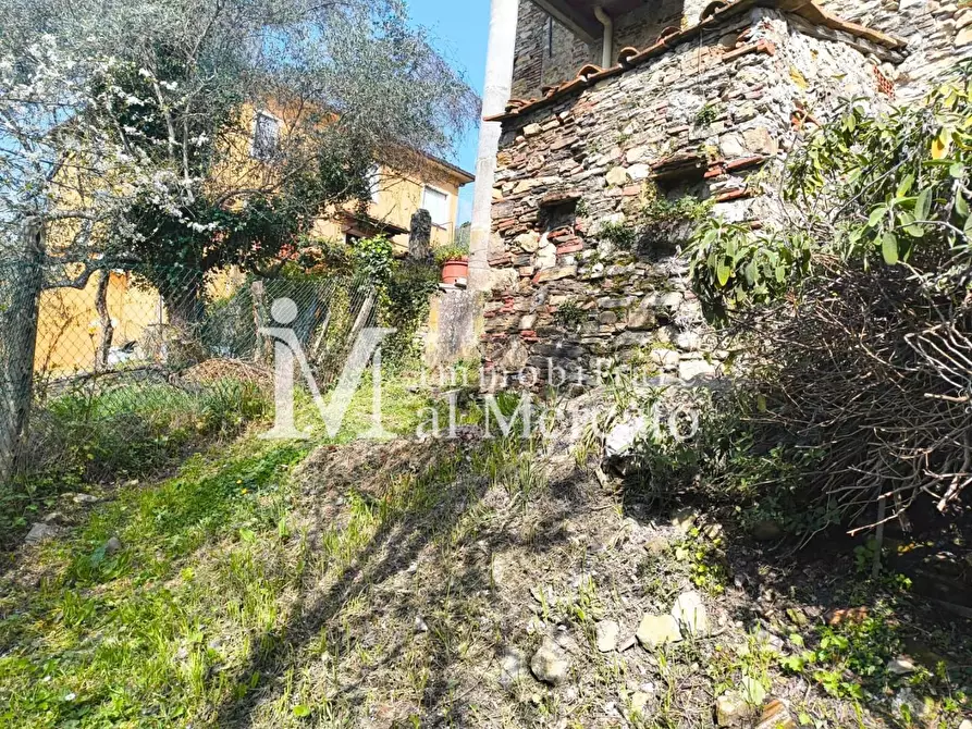 Immagine 2 di Terratetto in vendita  a Lucca