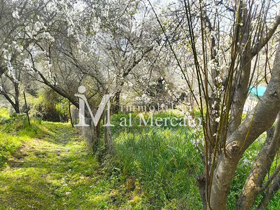 Immagine 8 di Terratetto in vendita  a Lucca