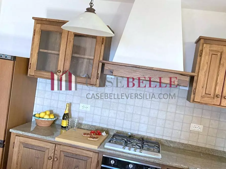 Immagine 7 di Terratetto in vendita  a Camaiore