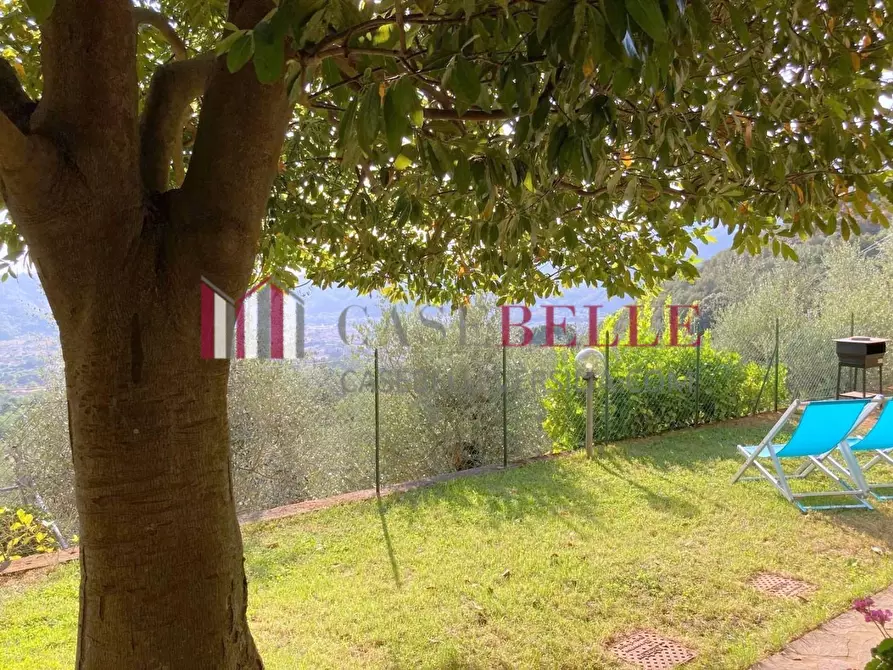 Immagine 26 di Terratetto in vendita  a Camaiore