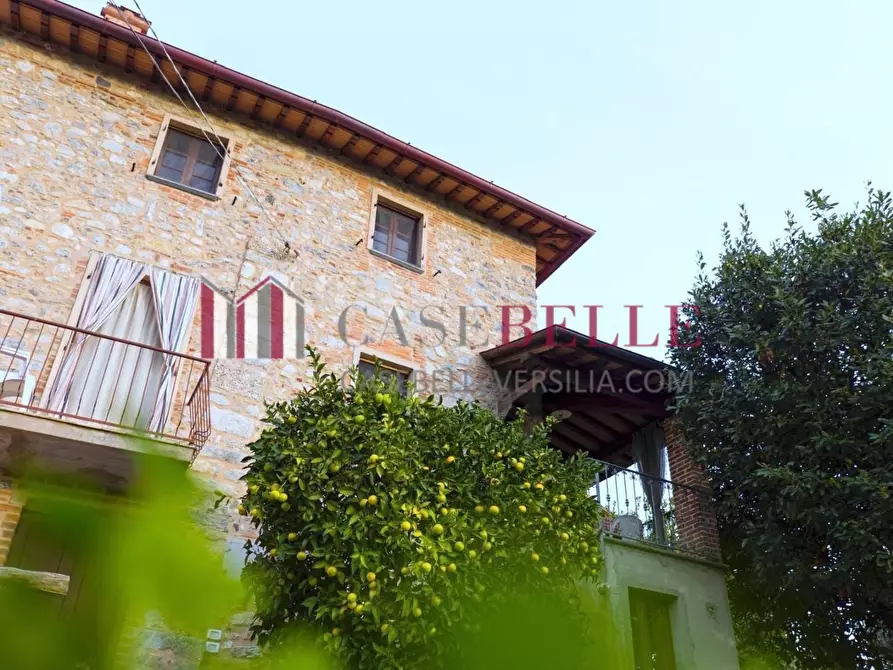 Immagine 4 di Terratetto in vendita  a Camaiore